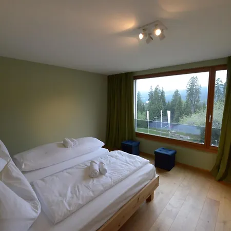 Uehlinger Zueger By Interhome